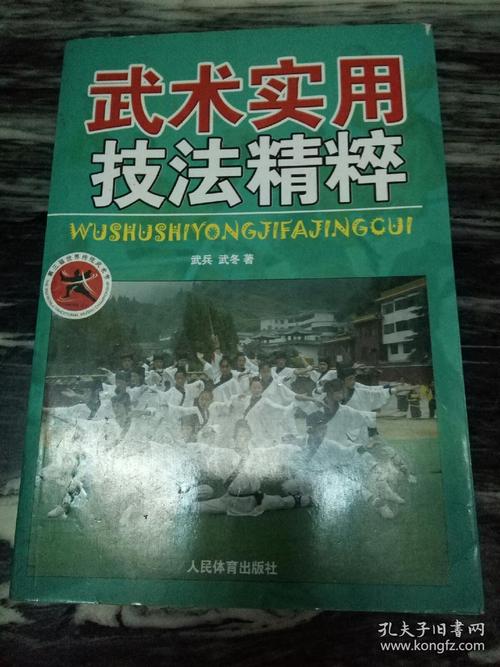 武兵游戏最全攻略解说_武兵游戏最新技巧通关