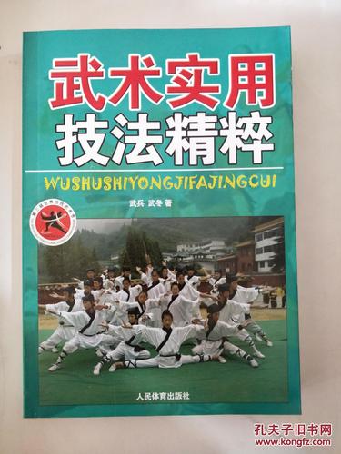 武兵游戏最全攻略解说_武兵游戏最新技巧通关