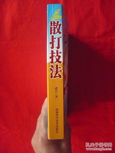 武兵游戏最全攻略解说_武兵游戏最新技巧通关