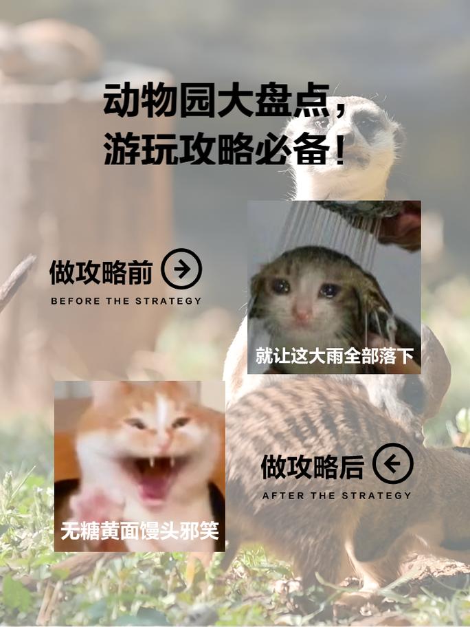 欢乐动物园全流程攻略_欢乐动物园实用技巧大揭秘