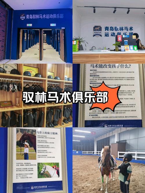 欢乐俱乐部全流程攻略及隐藏彩蛋揭秘_欢乐俱乐部新手入门到高手进阶技巧