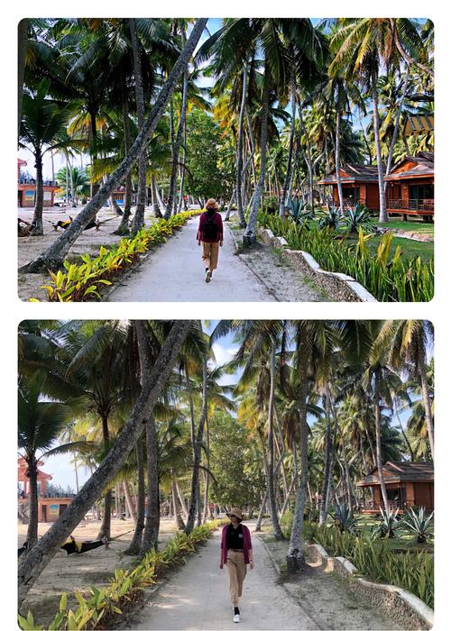 椰风海岸最全游戏攻略解说_椰风海岸最新游戏技巧通关