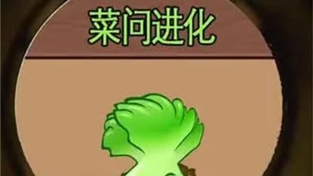 植物大战僵尸菜问最全游戏攻略解说_植物大战僵尸菜问最新游戏技巧通关