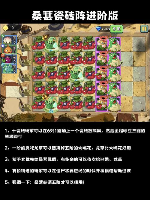 植物大战僵尸经典玩法全解析_植物大战僵尸高效通关策略