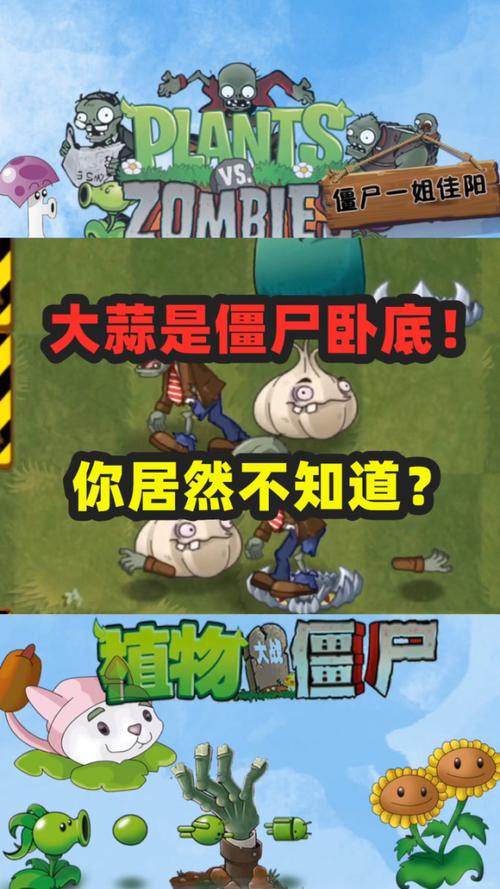 植物大战僵尸大蒜最全游戏攻略解说_植物大战僵尸大蒜最新游戏技巧通关