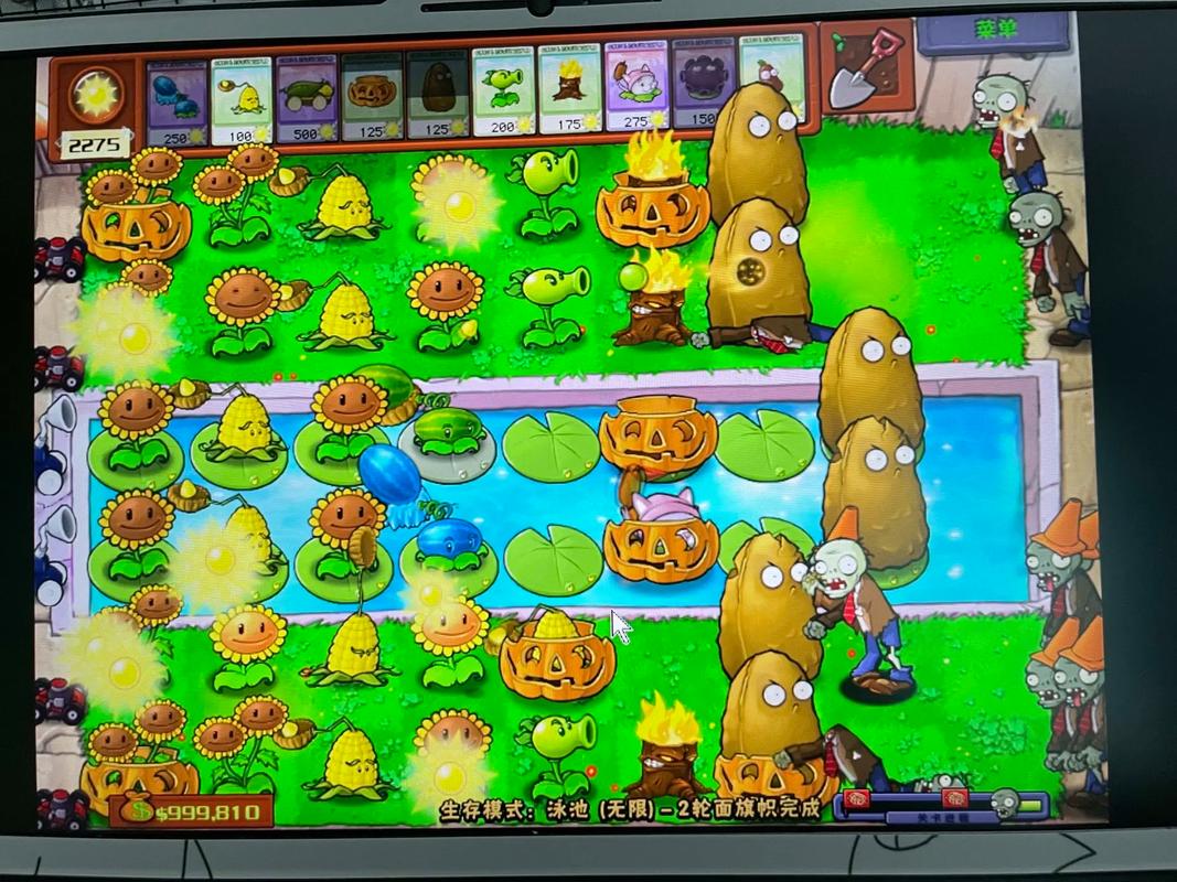 植物大战僵尸图片最全游戏攻略解说_植物大战僵尸图片最新游戏技巧通关