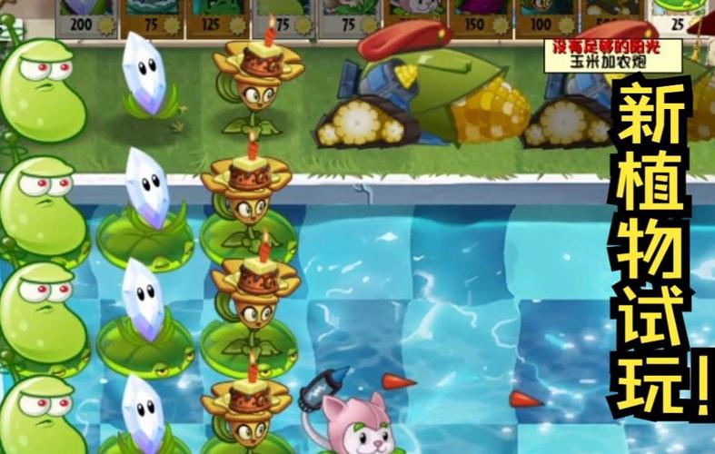 棱镜草最全游戏攻略解说_棱镜草最新游戏技巧通关