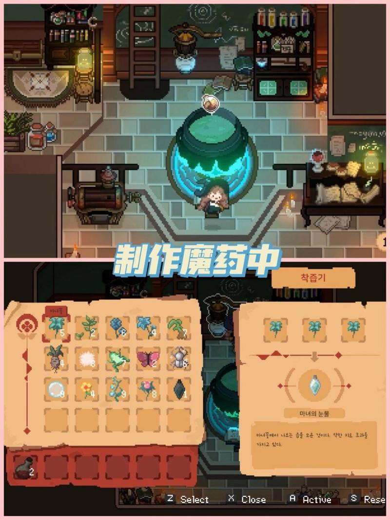 森林女巫最全游戏攻略解说_森林女巫最新游戏技巧通关