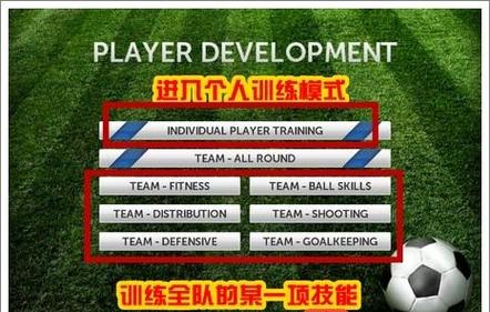 梦幻足球最全游戏攻略解说_梦幻足球最新游戏技巧通关