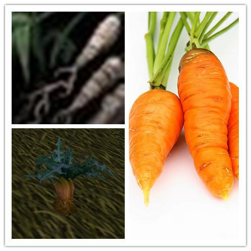 梦叶草最全游戏攻略解说_梦叶草最新游戏技巧通关