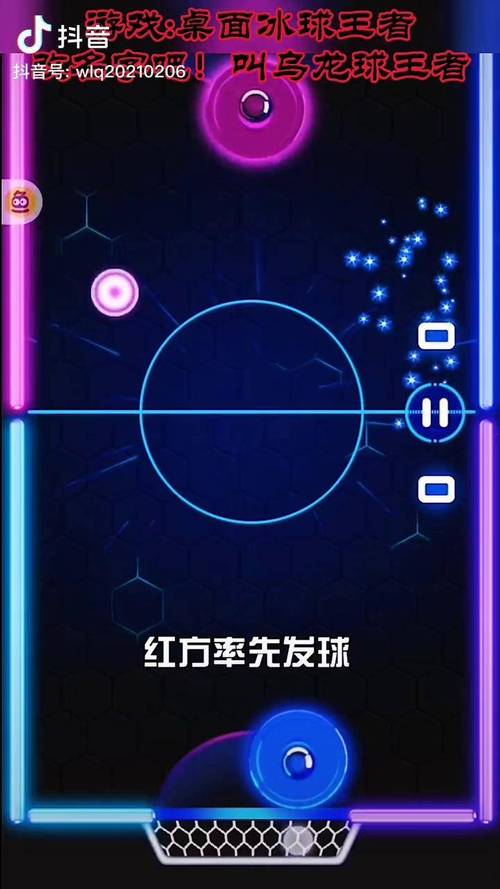 桌面冰球最全游戏攻略解说_桌面冰球最新游戏技巧通关