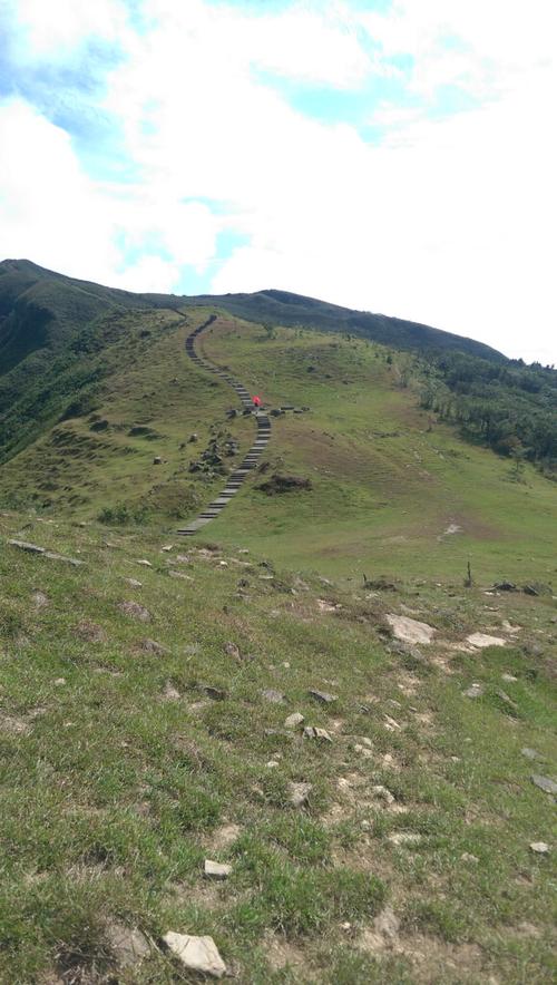 桃源谷最全游戏攻略解说_桃源谷最新游戏技巧通关