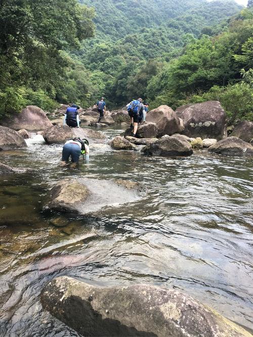 桃源谷最全游戏攻略解说_桃源谷最新游戏技巧通关