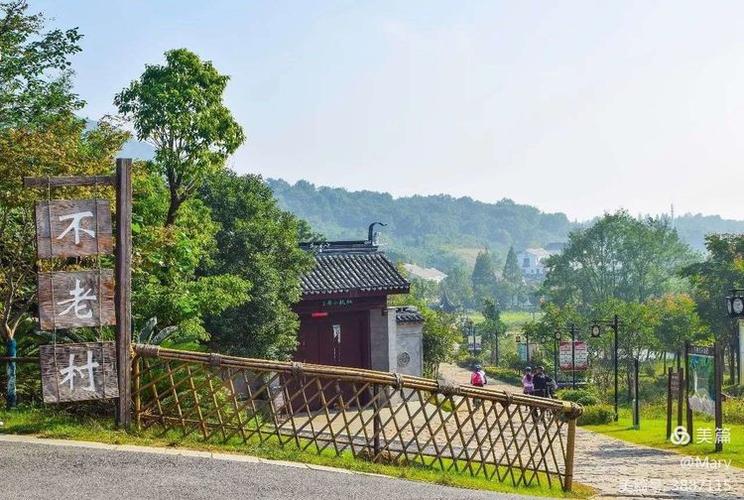 桃源谷最全游戏攻略解说_桃源谷最新游戏技巧通关