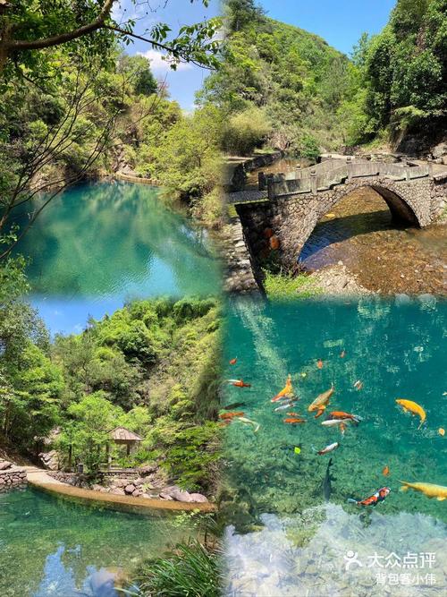 桃源秘境最全游戏攻略解说_桃源秘境最新游戏技巧通关