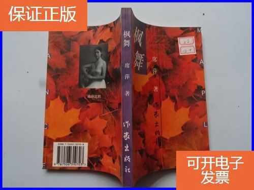 枫舞最全游戏攻略解说_枫舞最新游戏技巧通关