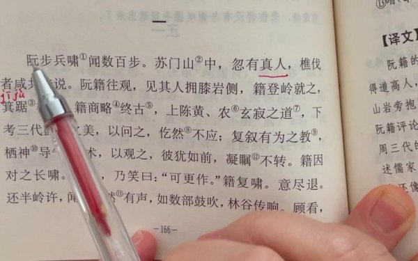 栖逸最全游戏攻略解说_栖逸最新游戏技巧通关