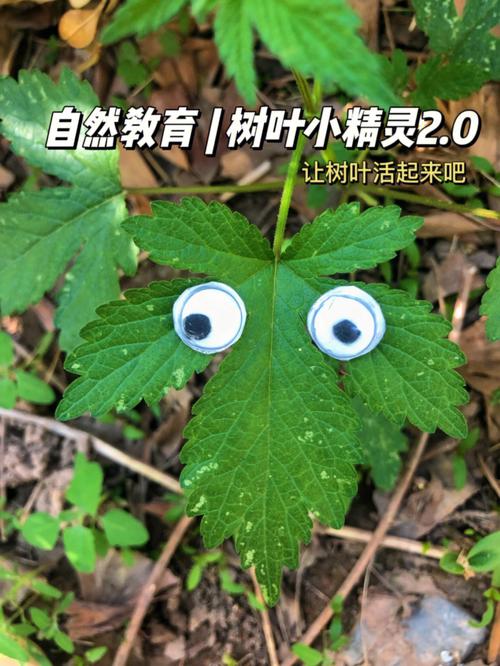 树叶精灵最全游戏攻略解说_树叶精灵最新游戏技巧通关