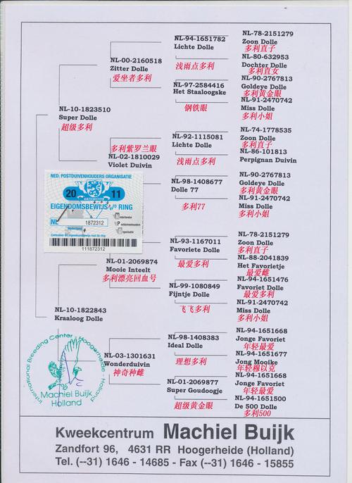 查特最全游戏攻略解说_查特最新游戏技巧通关