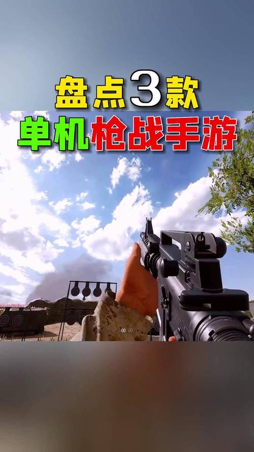 枪战单机游戏最全攻略解说_枪战单机游戏最新技巧通关