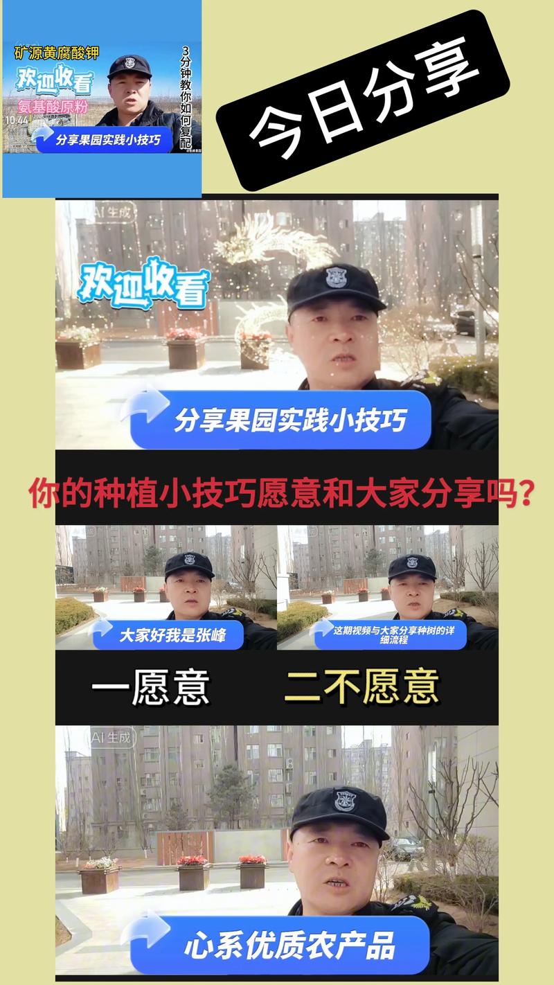 果树园全流程攻略解析_果树园高效种植技巧汇总