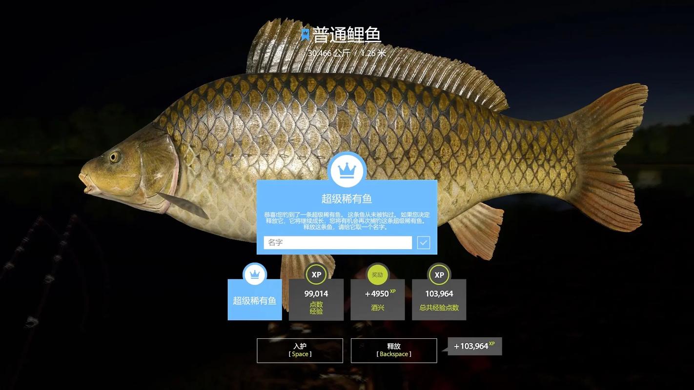 极品俄罗斯最全游戏攻略解说_极品俄罗斯最新游戏技巧通关