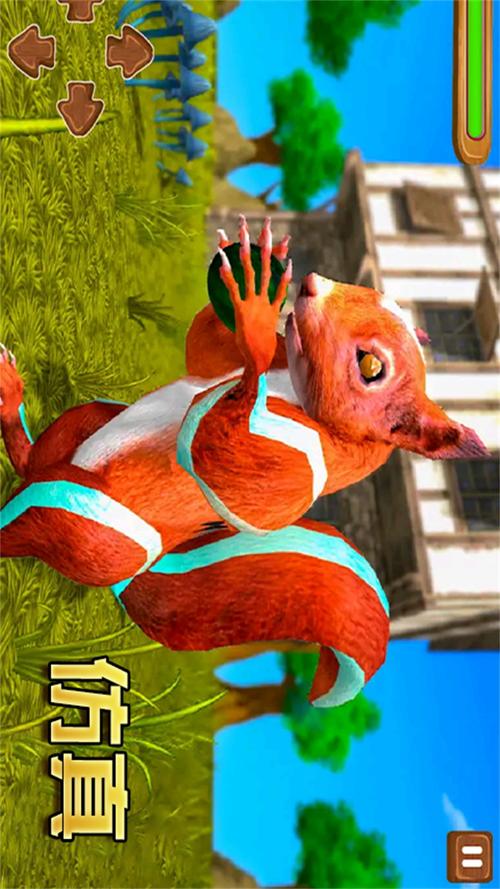 松鼠大冒险最全游戏攻略解说_松鼠大冒险最新游戏技巧通关