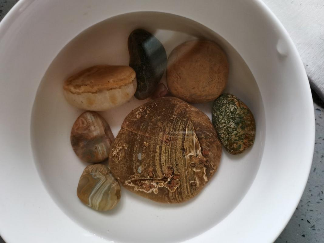 松香石最全游戏攻略解说_松香石最新游戏技巧通关