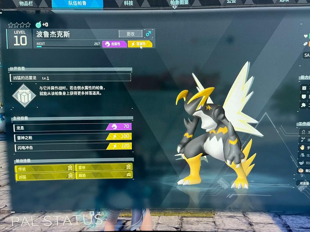 杰克斯全方面攻略指引_杰克斯实用通关秘籍