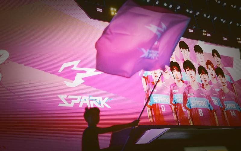 杭州闪电队阵容分析与对战策略_杭州闪电队英雄搭配技巧