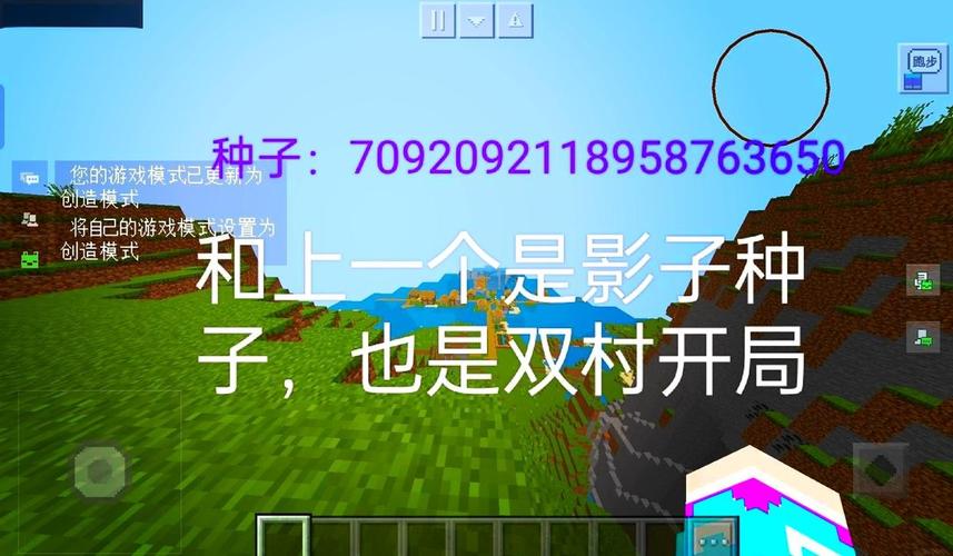 村庄种子最全游戏攻略解说_村庄种子最新游戏技巧通关