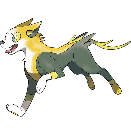 来电汪最全游戏攻略解说_来电汪最新游戏技巧通关