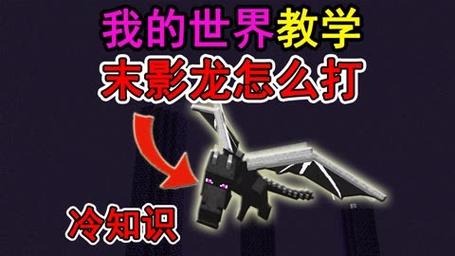 末影龙详尽攻略解说_末影龙最新技巧通关