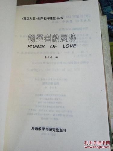 朝圣者的灵魂最全游戏攻略解说_朝圣者的灵魂最新游戏技巧通关