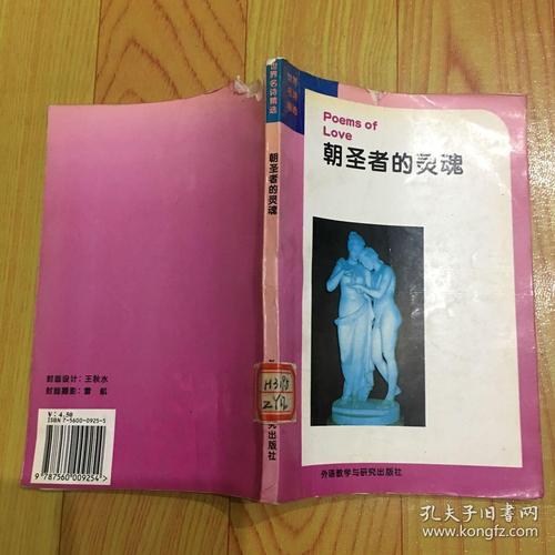 朝圣者的灵魂最全游戏攻略解说_朝圣者的灵魂最新游戏技巧通关