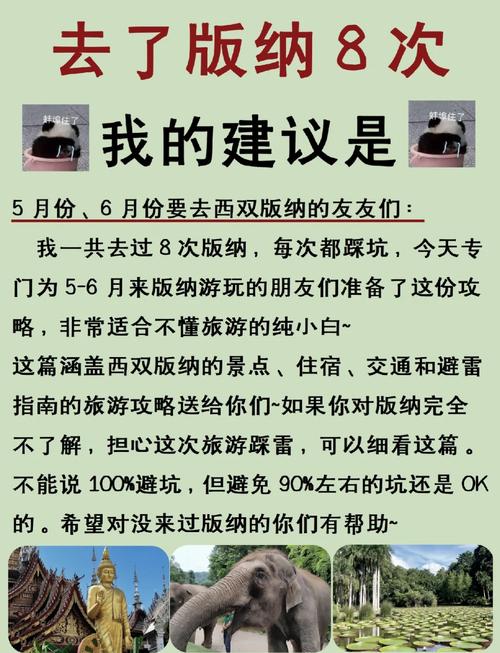 月御全流程攻略及技巧指南_月御最新玩法解析