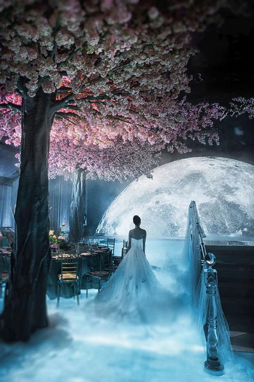 月光婚礼最全游戏攻略解说_月光婚礼最新游戏技巧通关