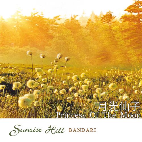 月光仙子全流程攻略_月光仙子隐藏任务技巧