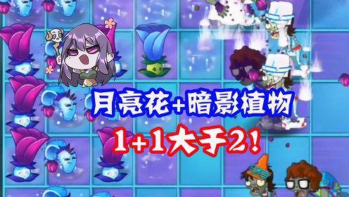 月亮花游戏全流程攻略_月亮花最新玩法技巧汇总