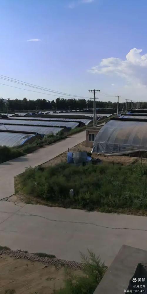 月之舞最全游戏攻略解说_月之舞最新游戏技巧通关