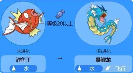 暴鲤龙配招最佳组合解析_暴鲤龙实战技巧全攻略