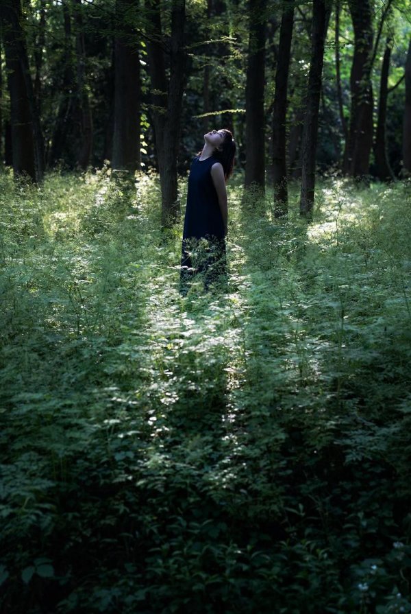 暗黑森林新手入门到高手进阶全攻略_暗黑森林最新技巧玩法解析