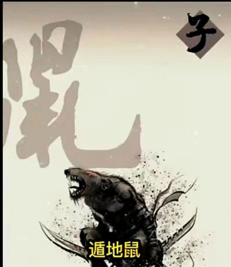 暗黑十二生肖最全游戏攻略解说_暗黑十二生肖最新游戏技巧通关