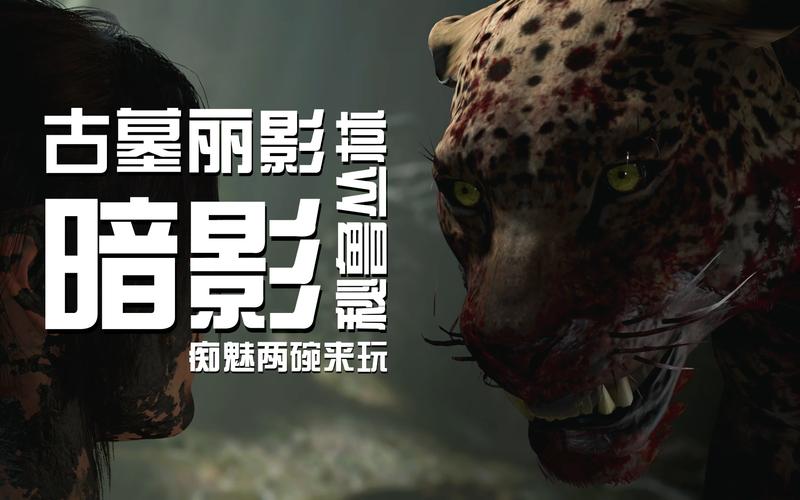 暗影之门通关秘籍大揭秘_暗影之门最新战斗技巧全掌握