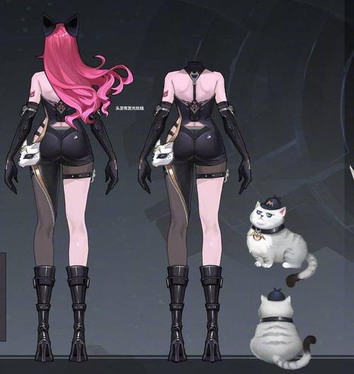 暗夜猫娘多少钱最全游戏攻略解说_暗夜猫娘多少钱最新游戏技巧通关