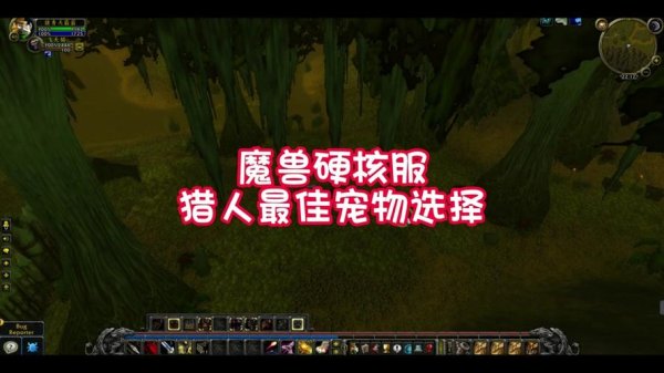 暗夜猎人最全游戏攻略解说_暗夜猎人最新游戏技巧通关