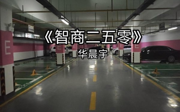 智商二五零最全游戏攻略解说_智商二五零最新游戏技巧通关