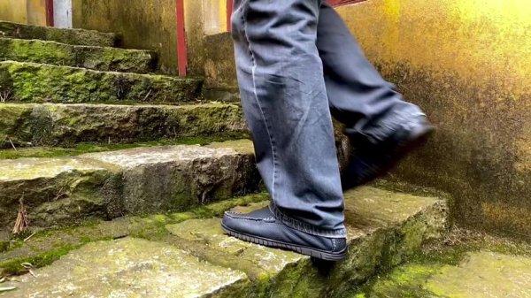 普净最全游戏攻略解说_普净最新游戏技巧通关