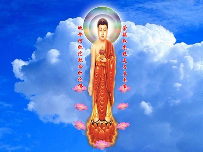 普净最全游戏攻略解说_普净最新游戏技巧通关