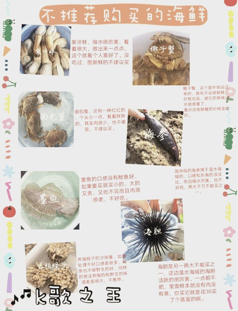 星螺全流程攻略解说_星螺最新技巧通关秘籍